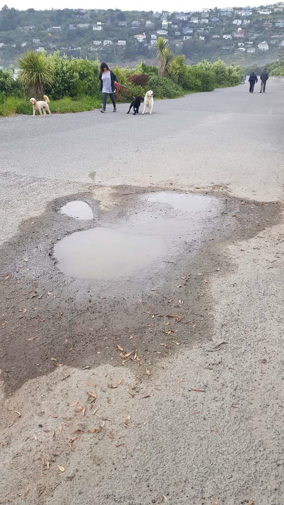 The photograph attached to this roading/streets report