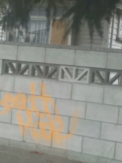 Graffiti, a report photo