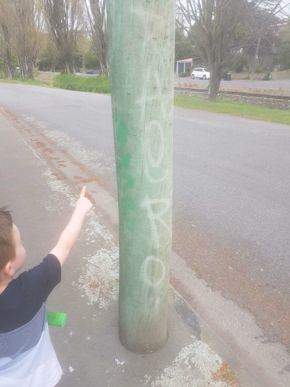 The photograph attached to this graffiti report