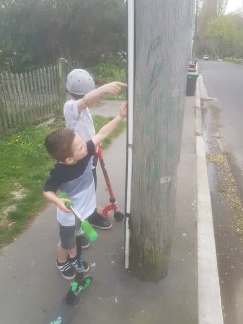 Graffiti, a report photo