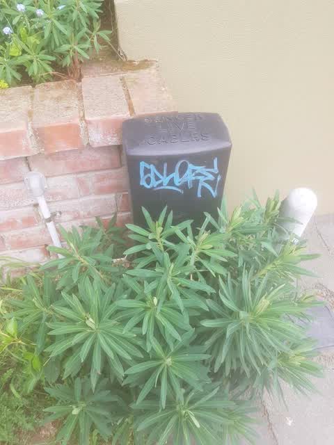 Graffiti, a report photo