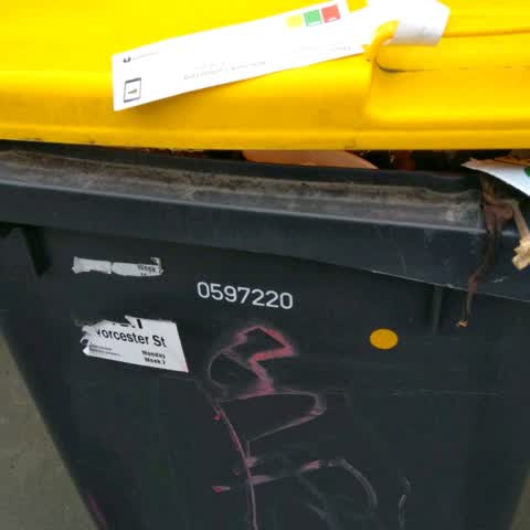 Rubbish/Recycling, a report photo