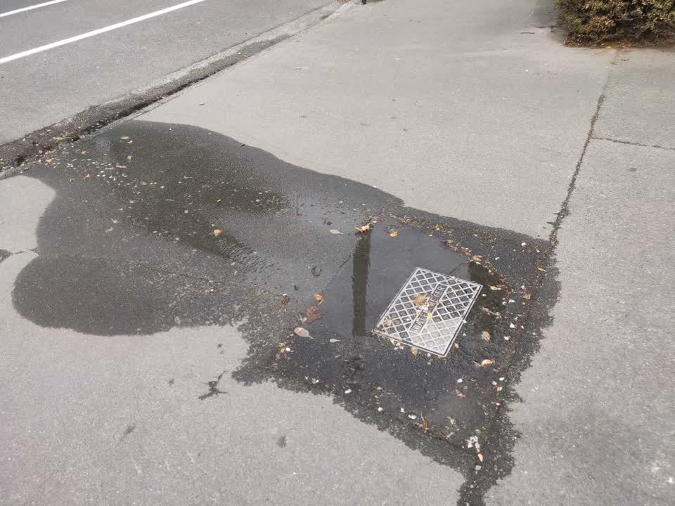 The photograph attached to this water supply report