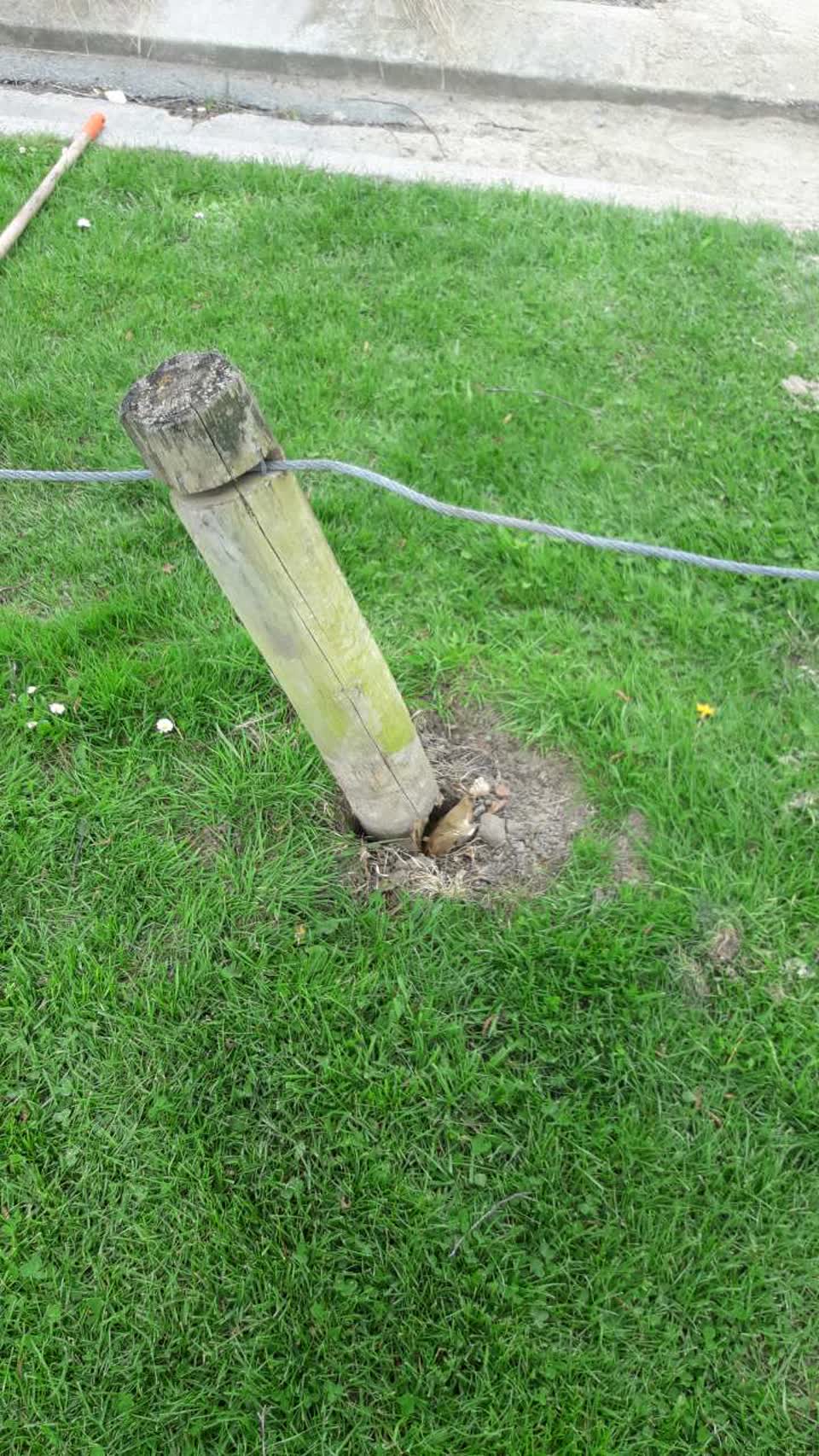 The photograph attached to this parks report