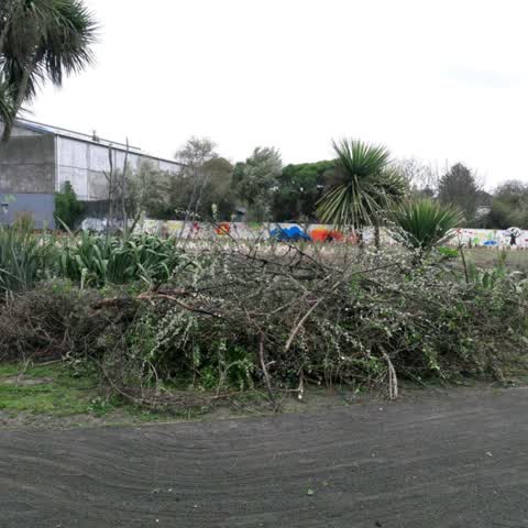 Parks — a report photo