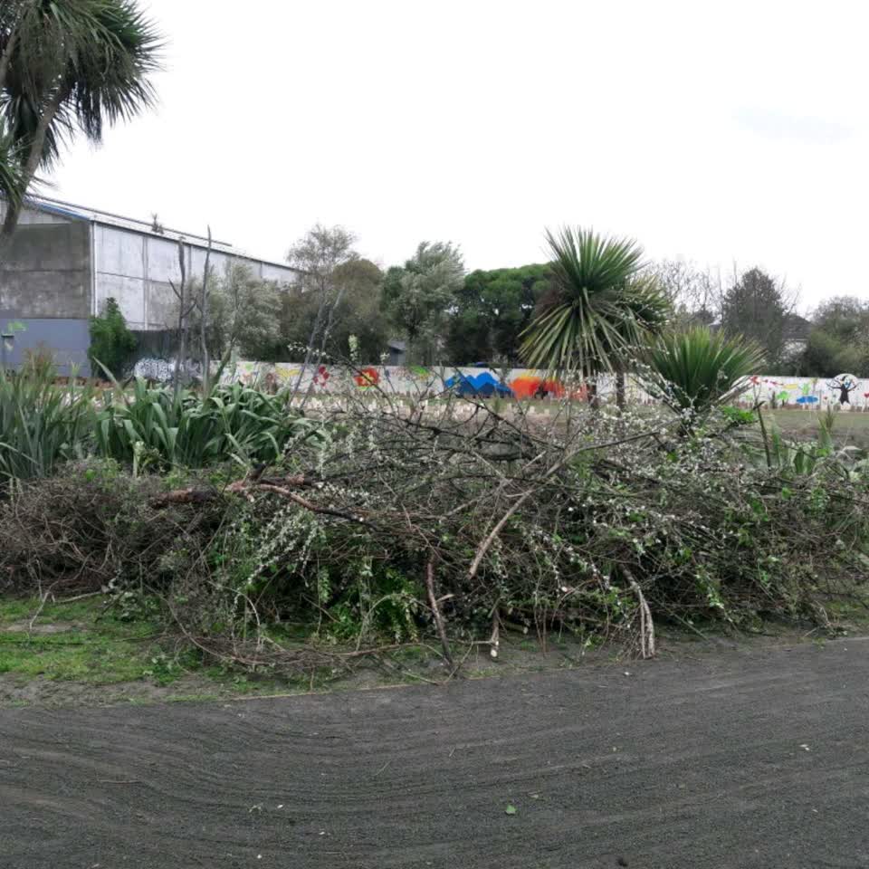 The photograph attached to this parks report
