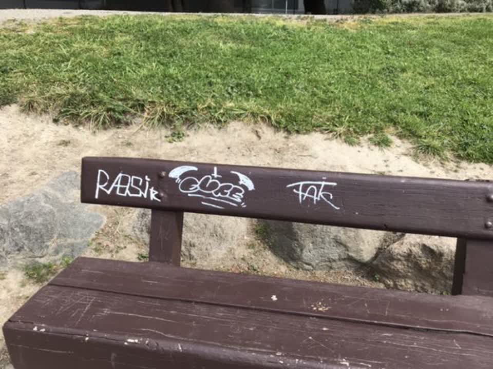 The photograph attached to this parks report