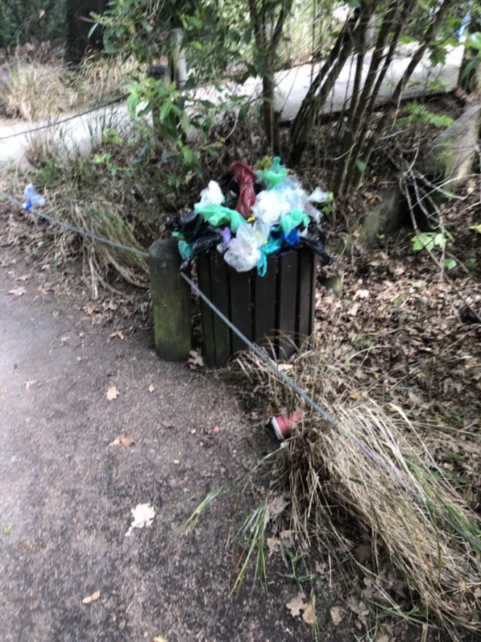The photograph attached to this rubbish/recycling report