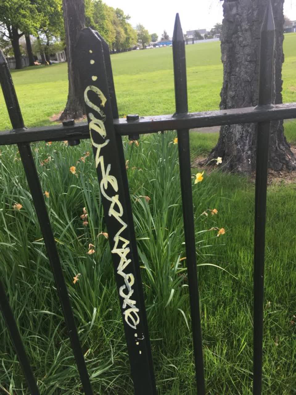 The photograph attached to this graffiti report