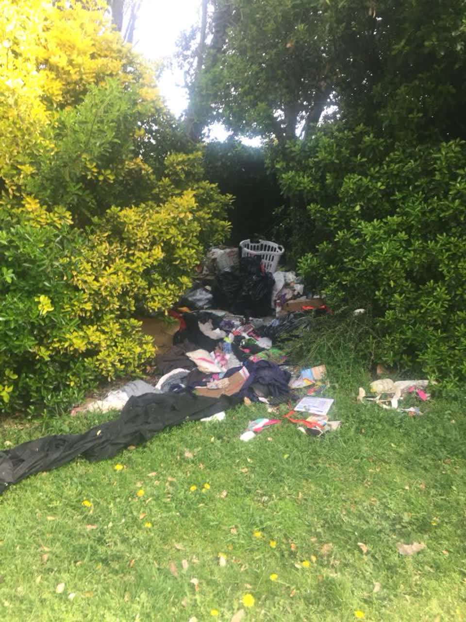 The photograph attached to this rubbish/recycling report