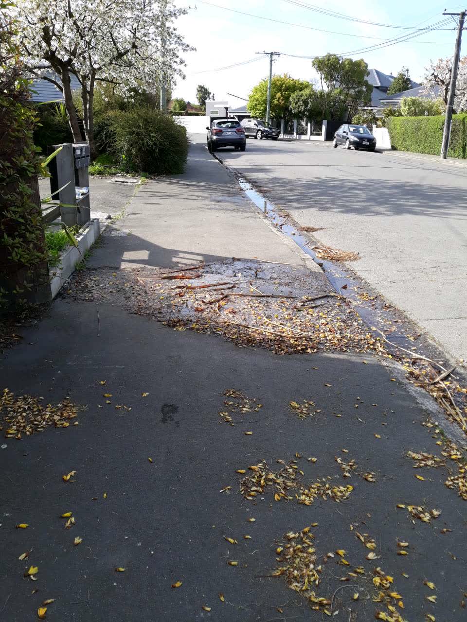 The photograph attached to this roading/streets report