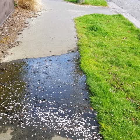 Water Supply, a report photo