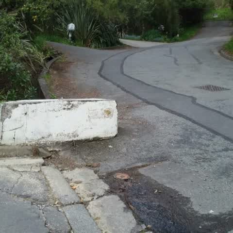 Roading/Streets, a report photo