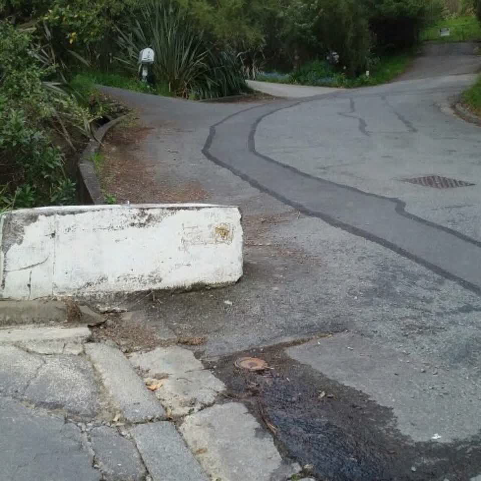 The photograph attached to this roading/streets report