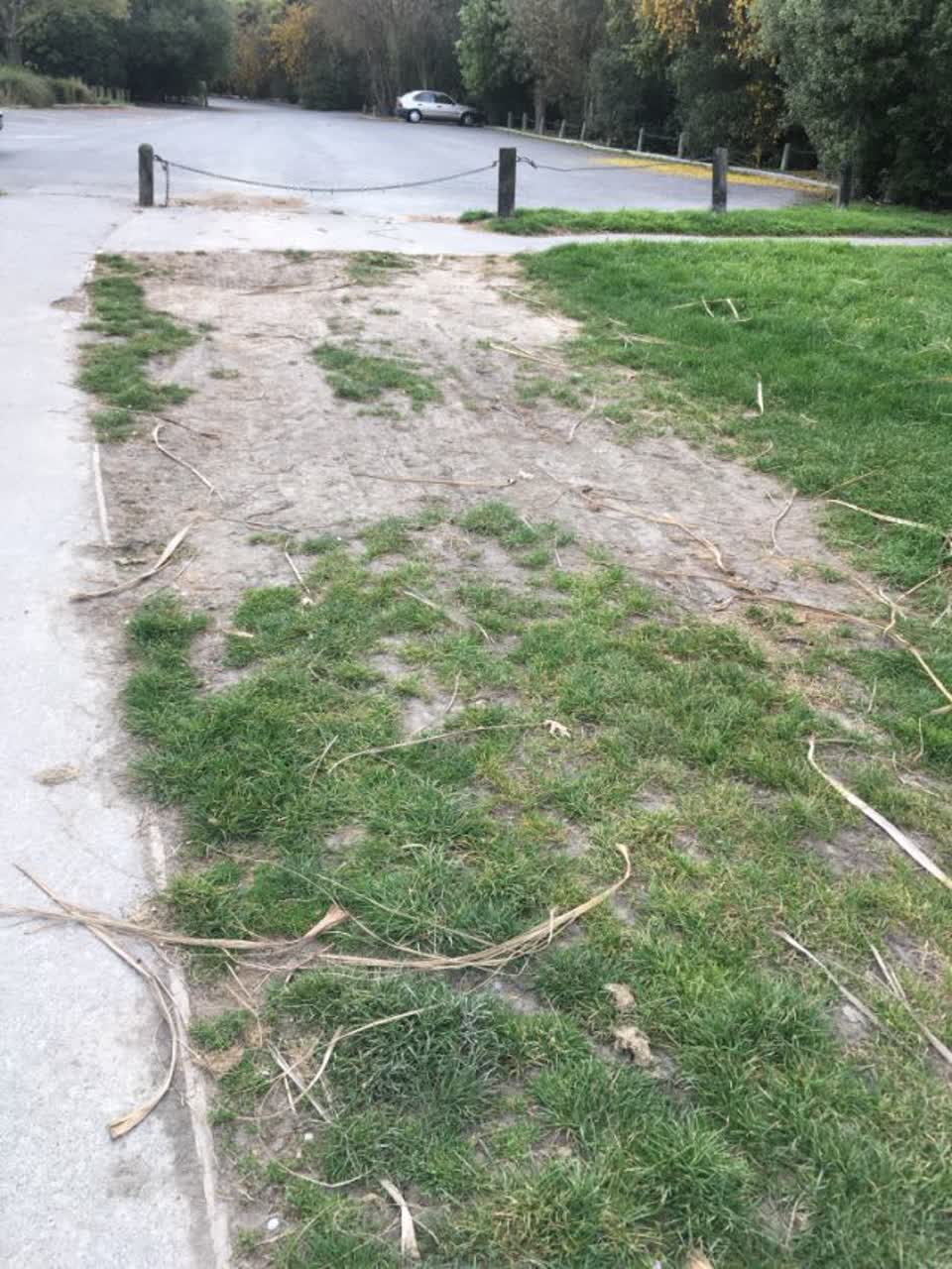 The photograph attached to this parks report