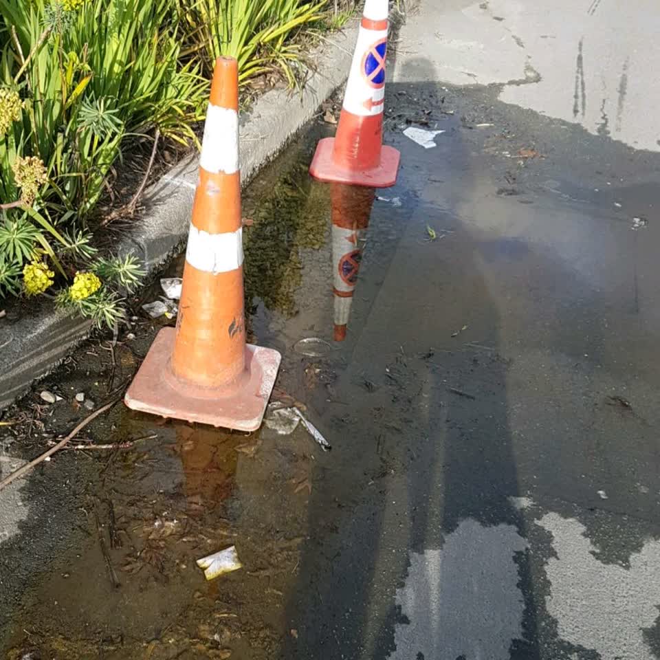 The photograph attached to this water supply report
