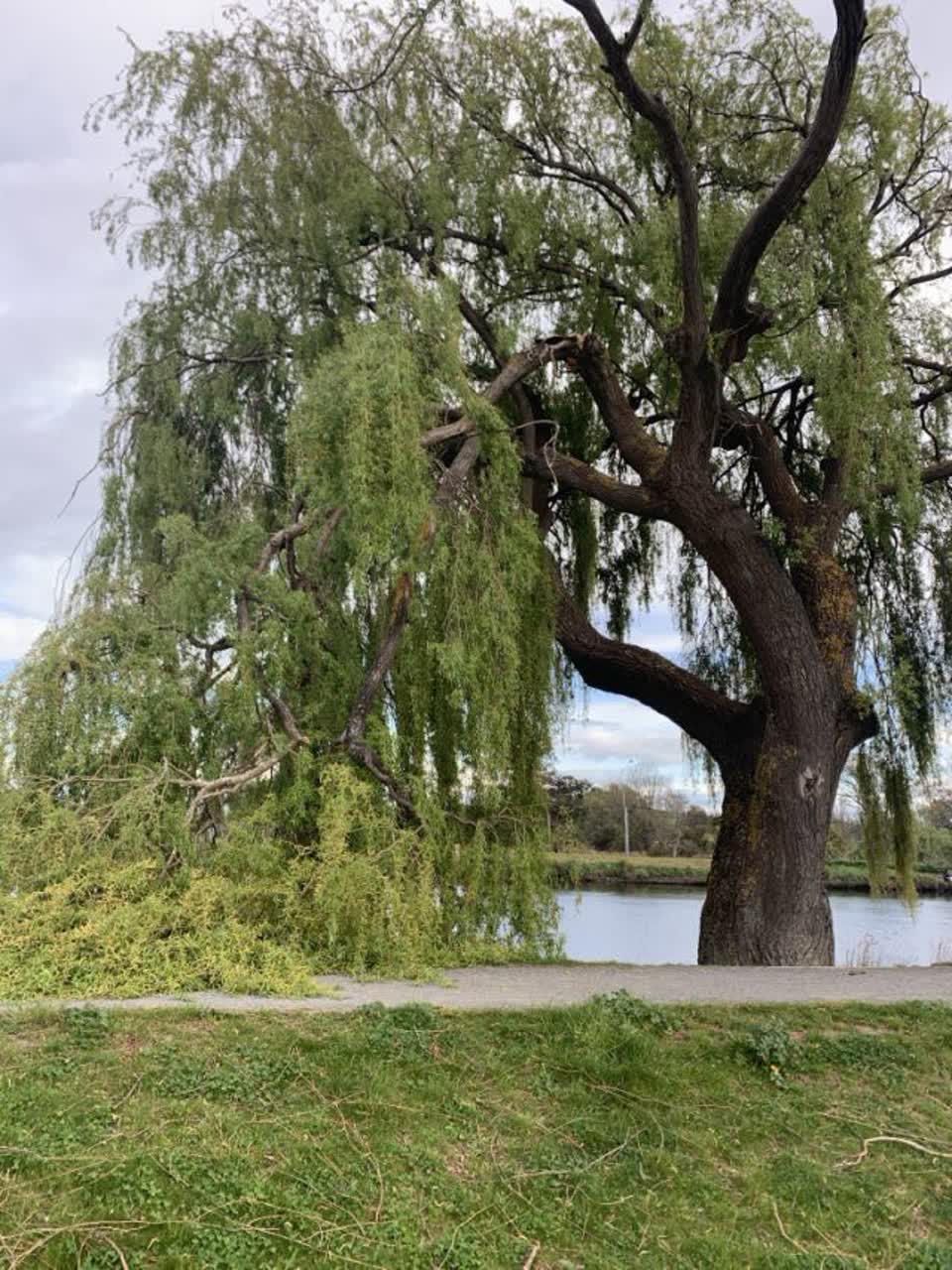 The photograph attached to this parks report