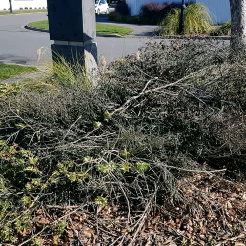 Parks — a report photo