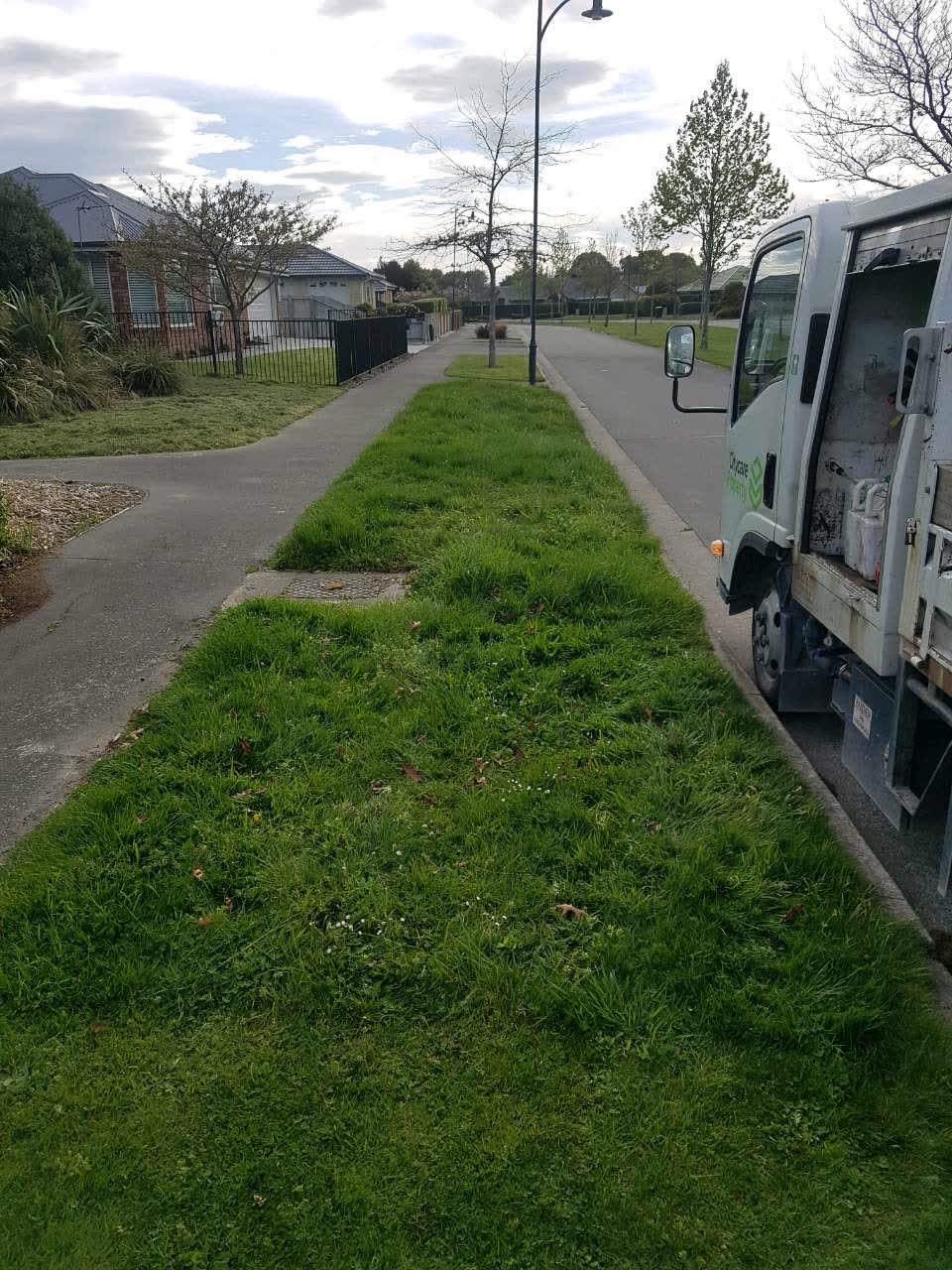 The photograph attached to this parks report