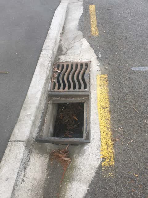 Roading/Streets, a report photo