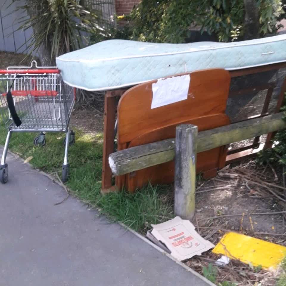 The photograph attached to this parks report