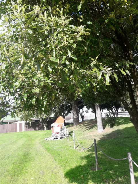 Parks, a report photo