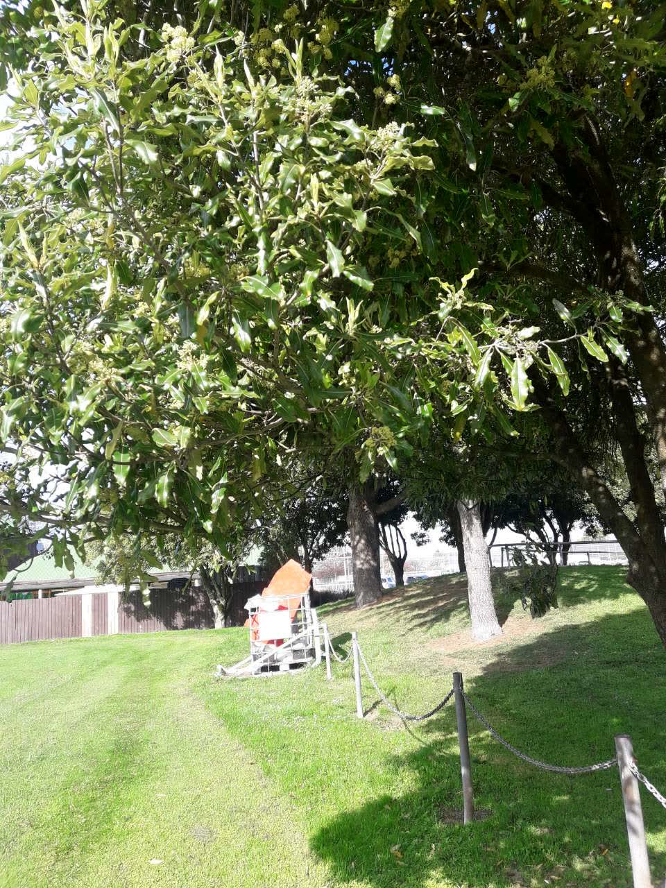 The photograph attached to this parks report