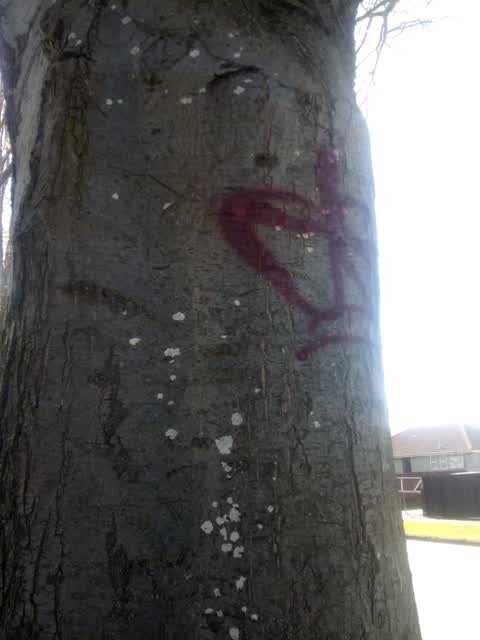 Graffiti, a report photo