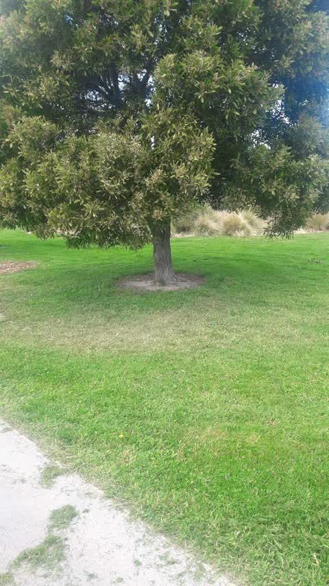 Parks, a report photo