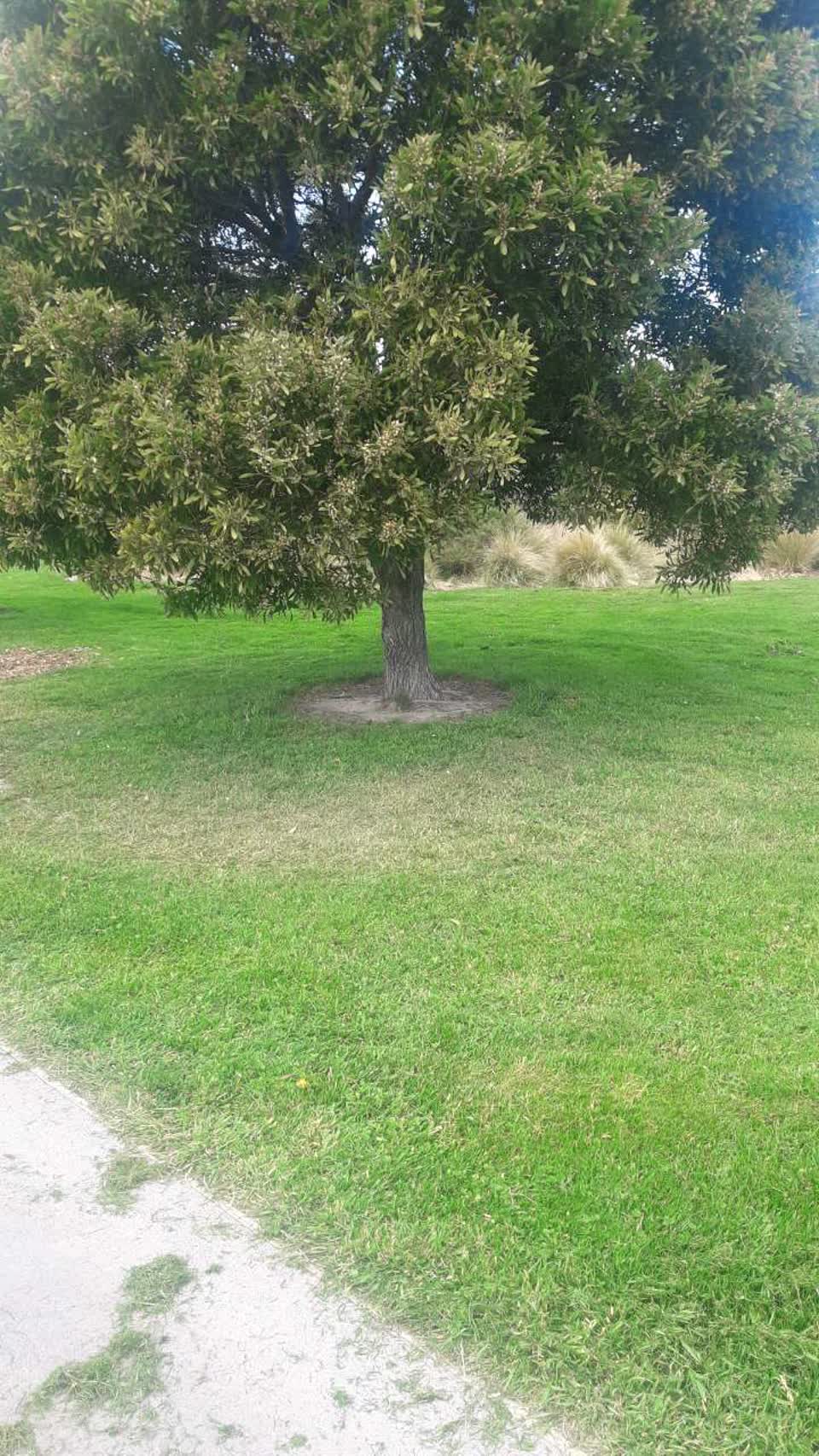 The photograph attached to this parks report