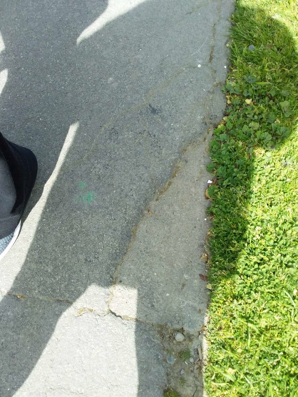 The photograph attached to this parks report