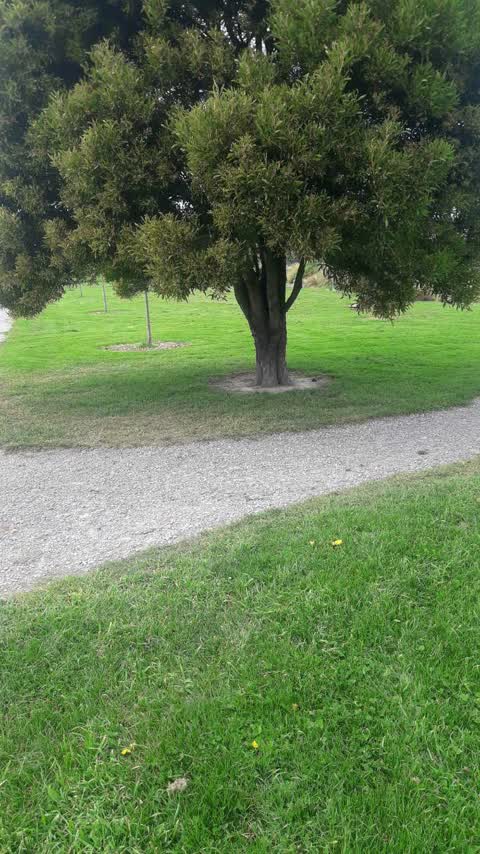 Parks, a report photo