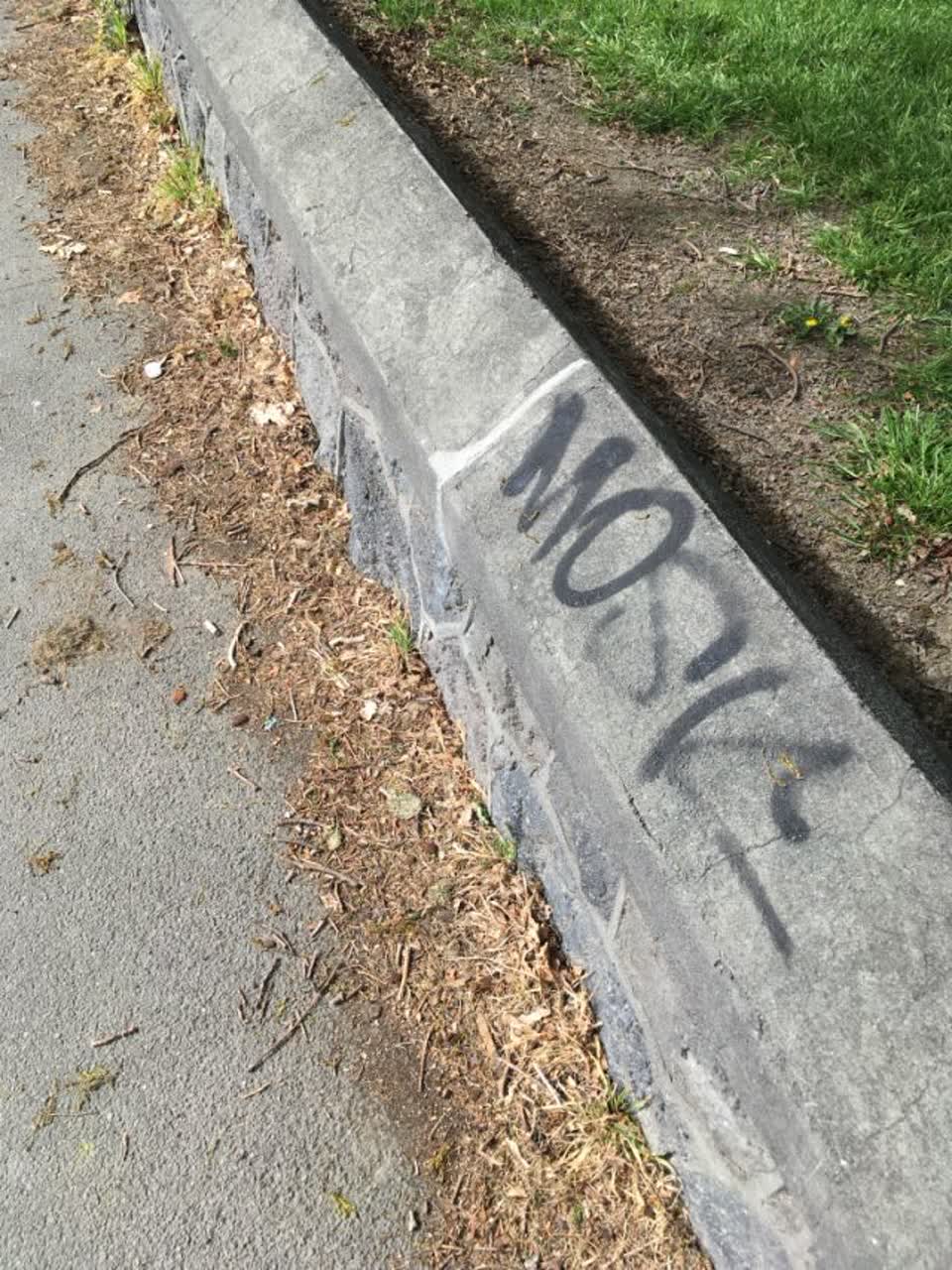 The photograph attached to this graffiti report