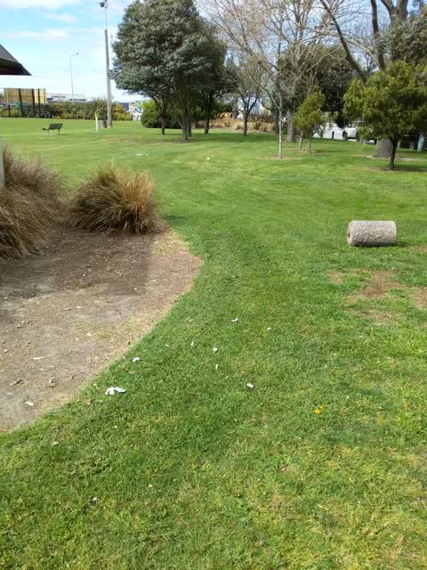 Parks, a report photo