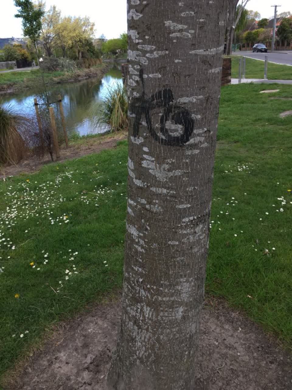 The photograph attached to this graffiti report