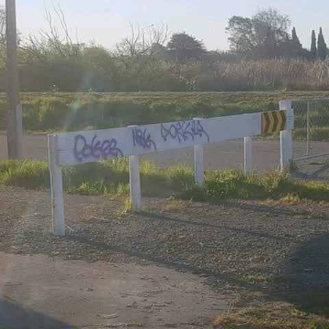 Graffiti — a report photo