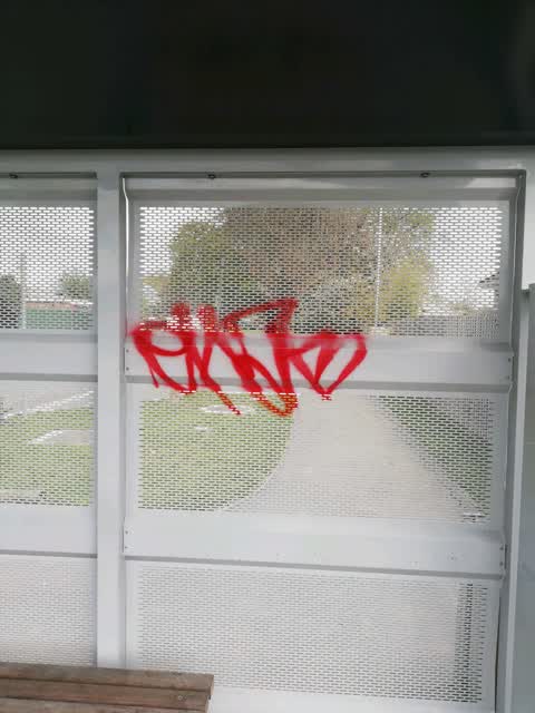 Graffiti, a report photo