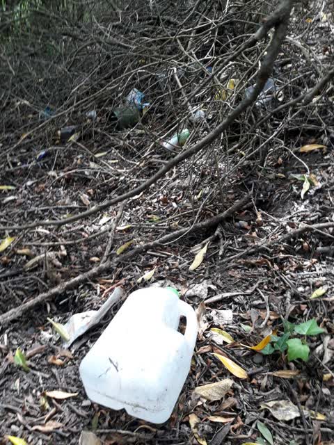 Rubbish/Recycling, a report photo