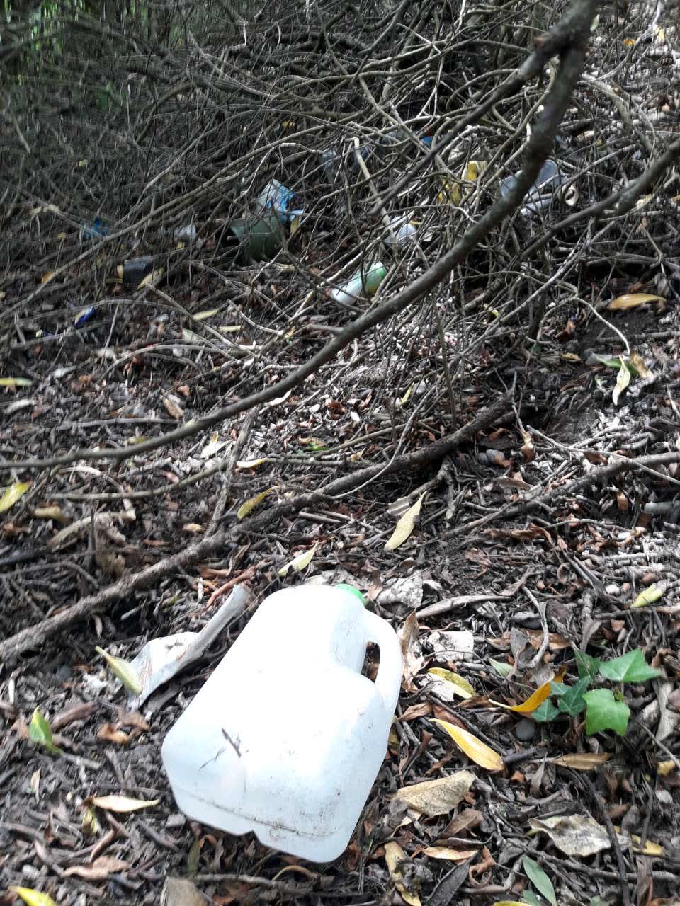 The photograph attached to this rubbish/recycling report