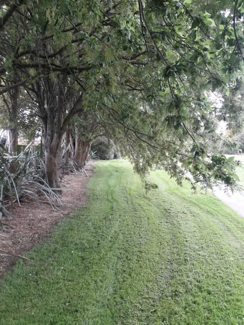 Parks, a report photo
