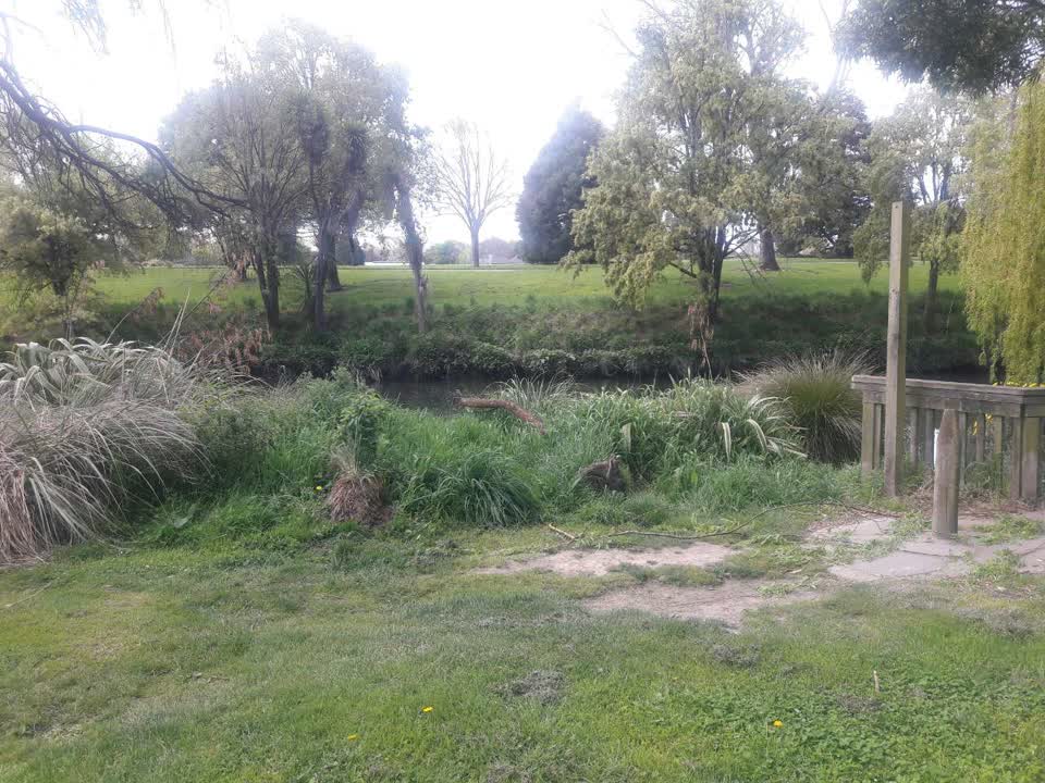 The photograph attached to this parks report