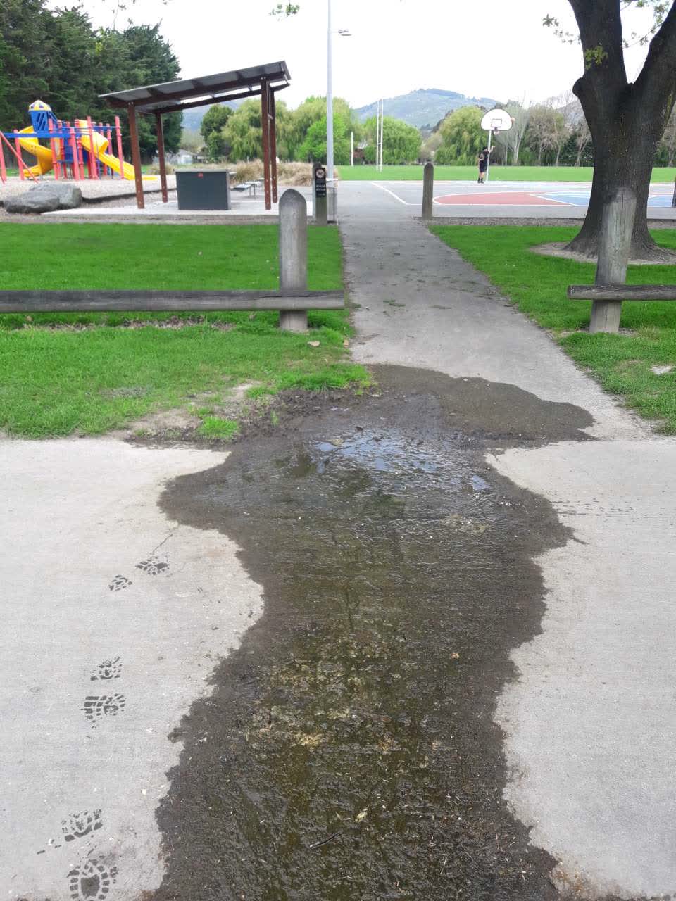 The photograph attached to this water supply report