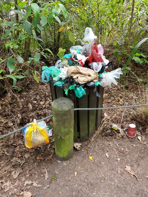 Rubbish/Recycling, a report photo