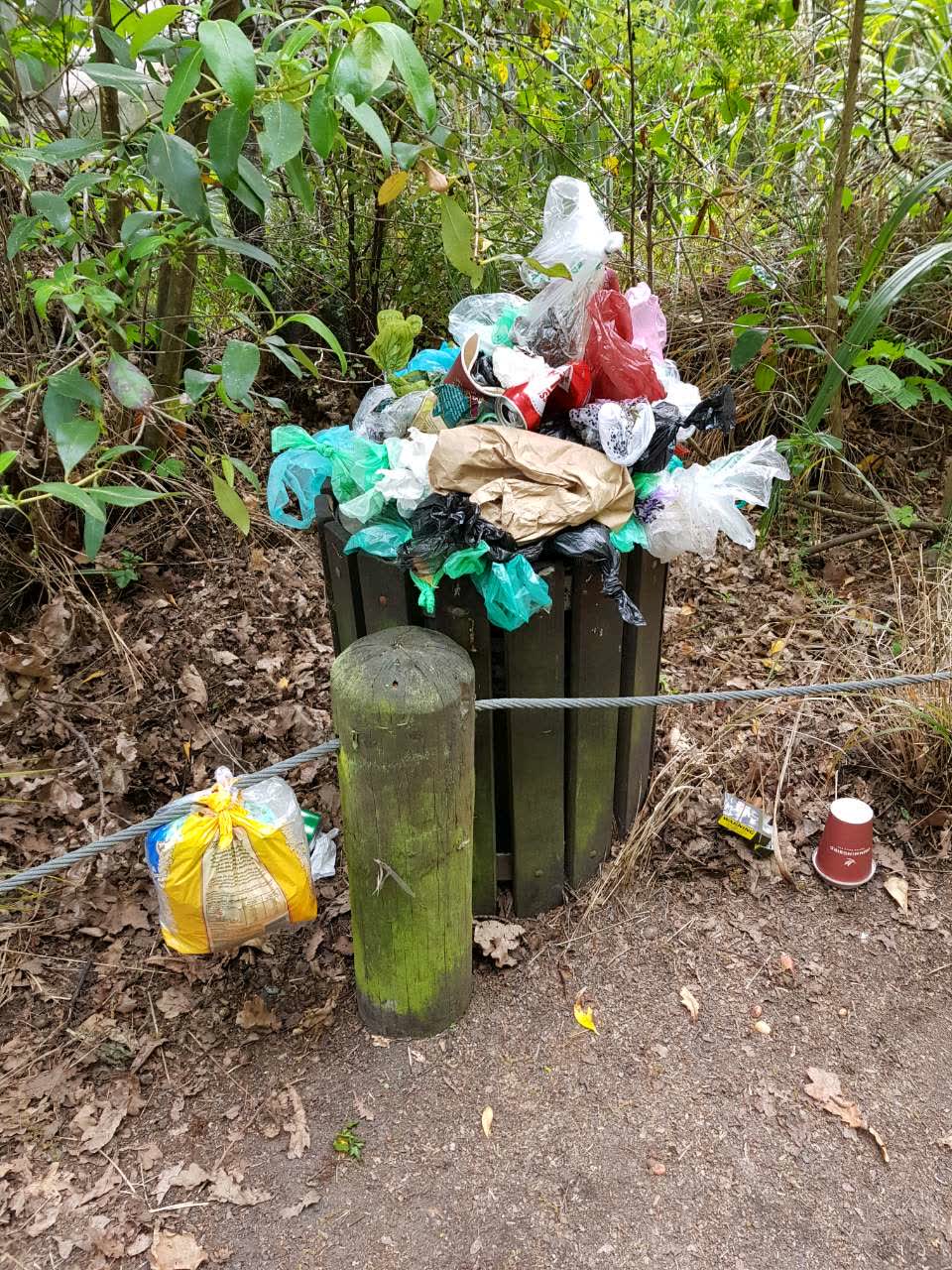 The photograph attached to this rubbish/recycling report