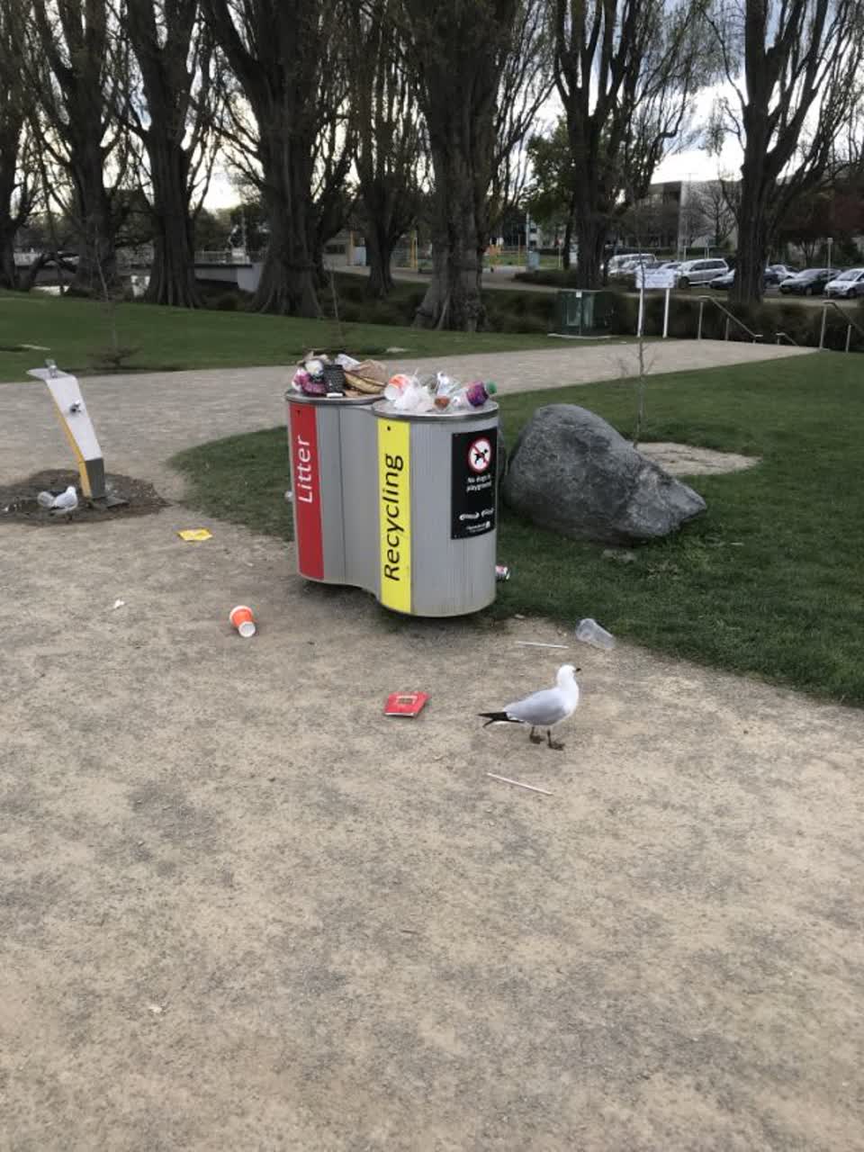 The photograph attached to this rubbish/recycling report