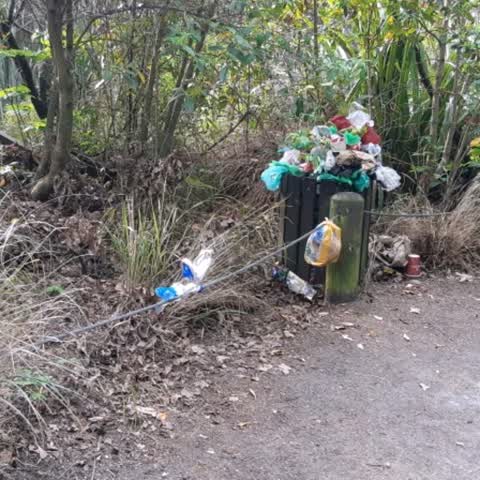 Rubbish/Recycling, a report photo