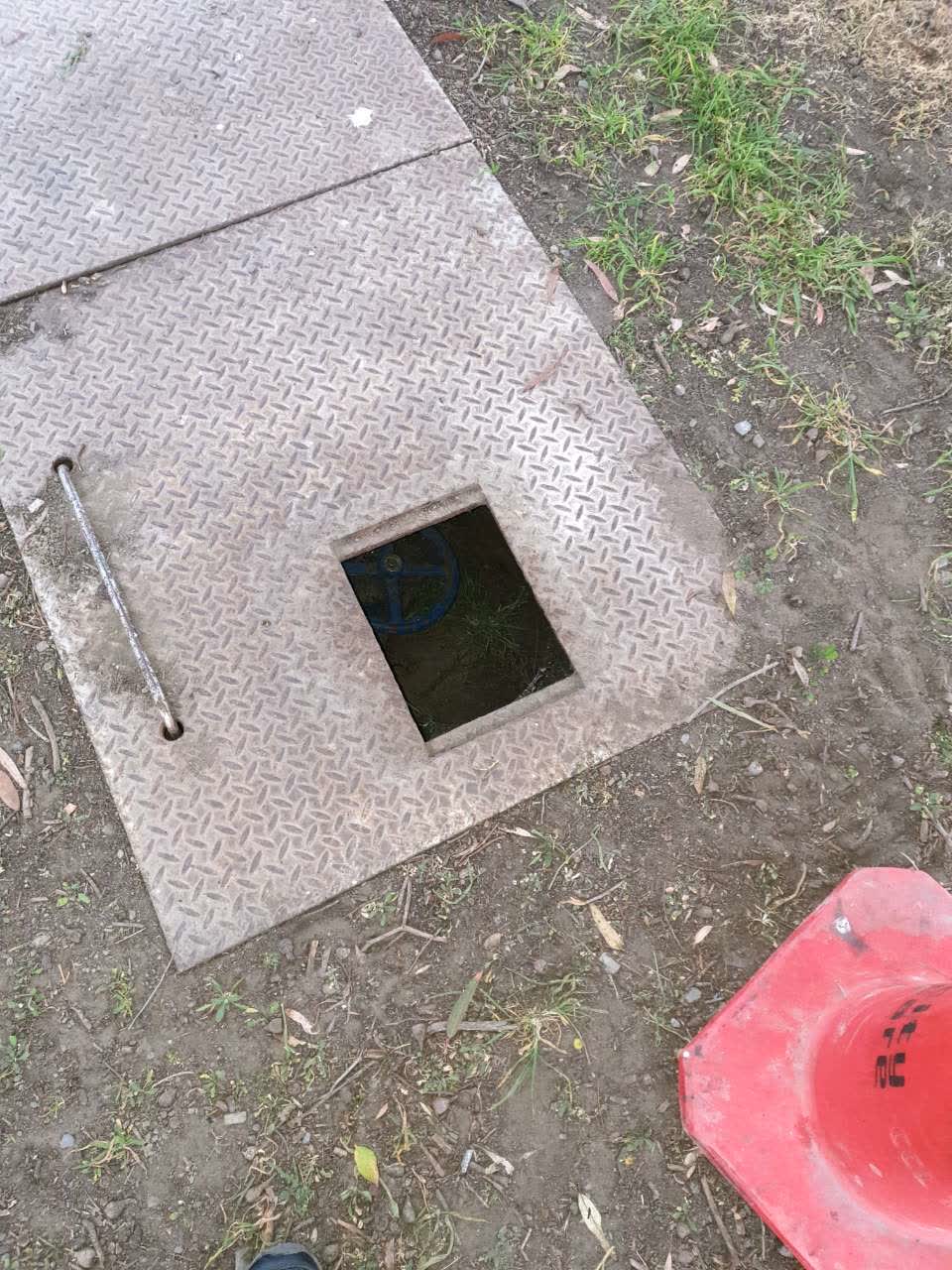 The photograph attached to this parks report