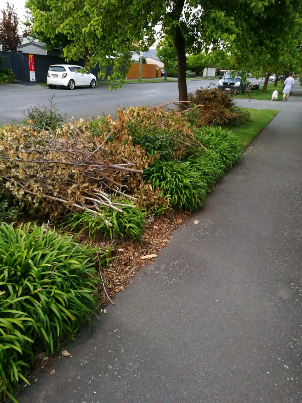 The photograph attached to this roading/streets report