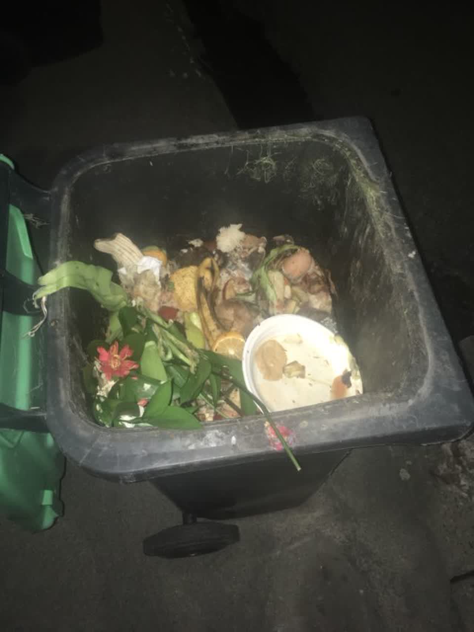 The photograph attached to this rubbish/recycling report