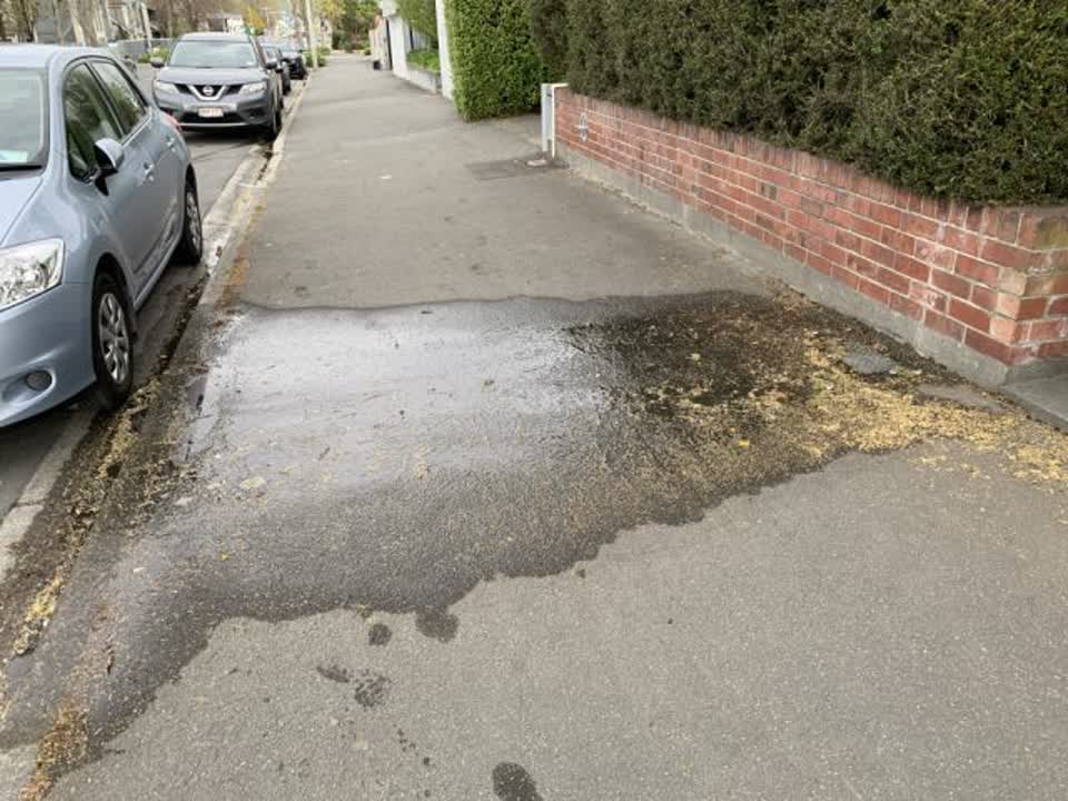 The photograph attached to this water supply report